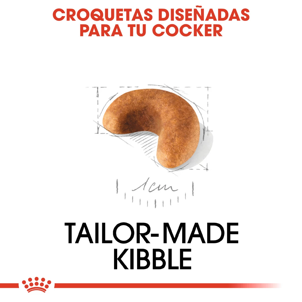 Royal Canin Cocker Puppy Aliment Pour Chiots 6 Royal Canin Cocker Puppy Aliment Pour Chiots – Image 4