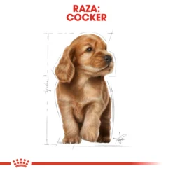 Royal Canin Cocker Puppy Aliment Pour Chiots 16 Royal Canin Cocker Puppy Aliment Pour Chiots -Trixie Soldes Magasin 22241 6 5