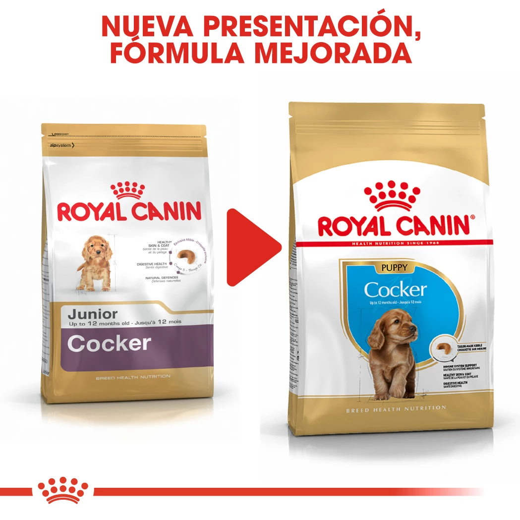 Royal Canin Cocker Puppy Aliment Pour Chiots 10 Royal Canin Cocker Puppy Aliment Pour Chiots – Image 8