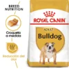Royal Canin Bulldog Adult -Trixie Soldes Magasin 23 1 0