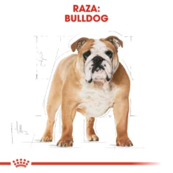 Royal Canin Bulldog Adult -Trixie Soldes Magasin 23 3 2