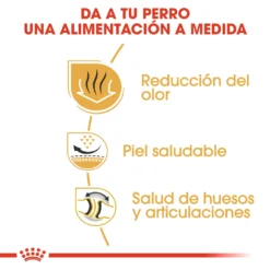 Royal Canin Bulldog Adult -Trixie Soldes Magasin 23 5 4