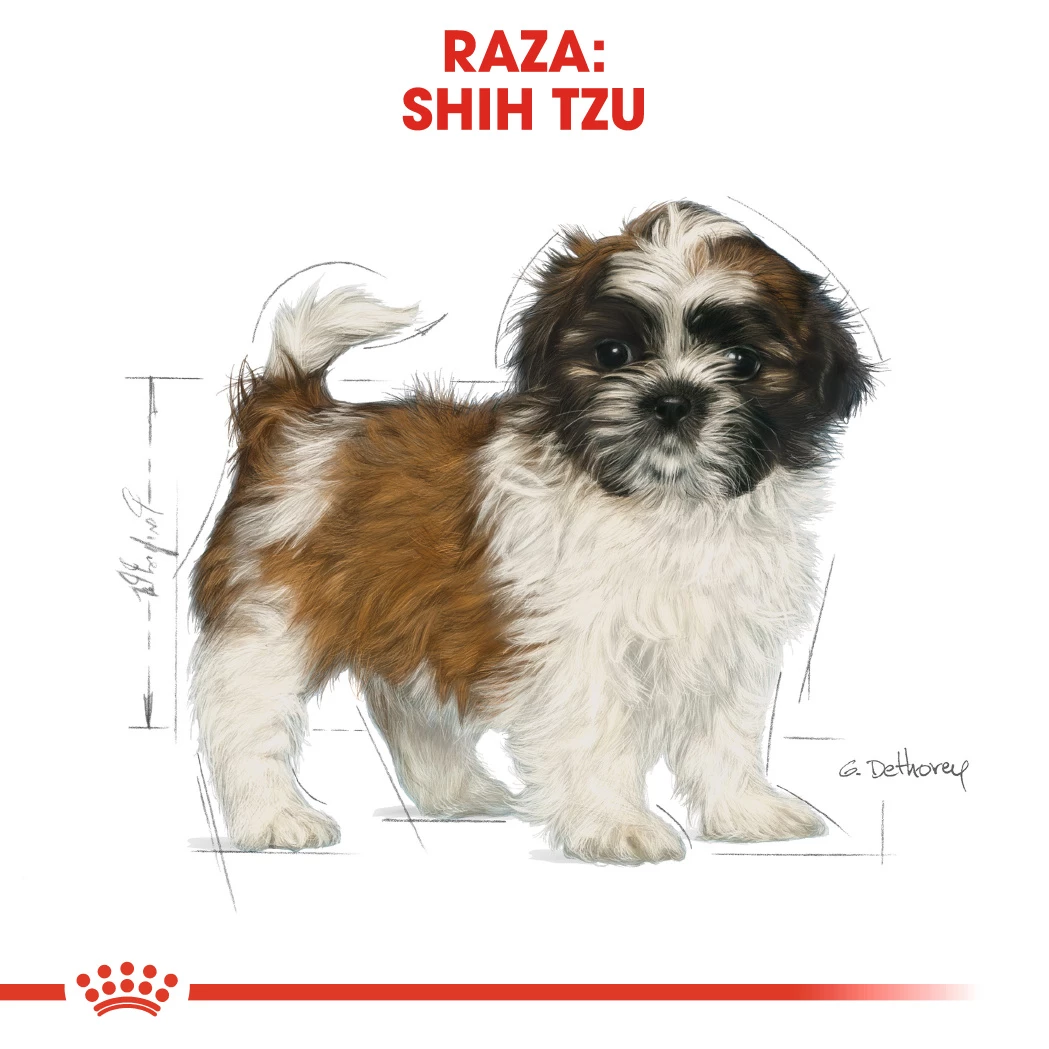 Royal Canin Shih Tzu Junior 8 Royal Canin Shih Tzu Junior – Image 6