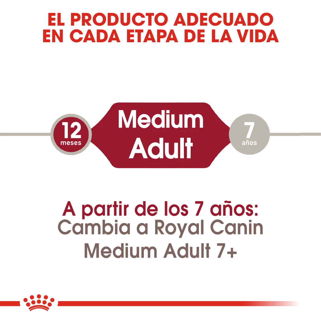 Royal Canin Medium Adult Pour Chiens Adultes De Taille Moyenne 5 Royal Canin Medium Adult Pour Chiens Adultes De Taille Moyenne – Image 3