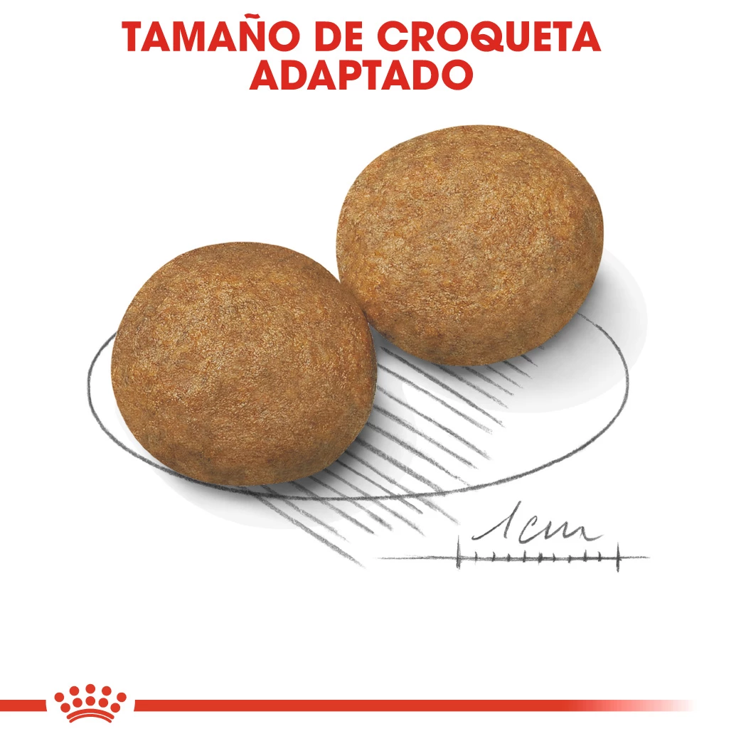 Royal Canin Medium Adult Pour Chiens Adultes De Taille Moyenne 7 Royal Canin Medium Adult Pour Chiens Adultes De Taille Moyenne – Image 5