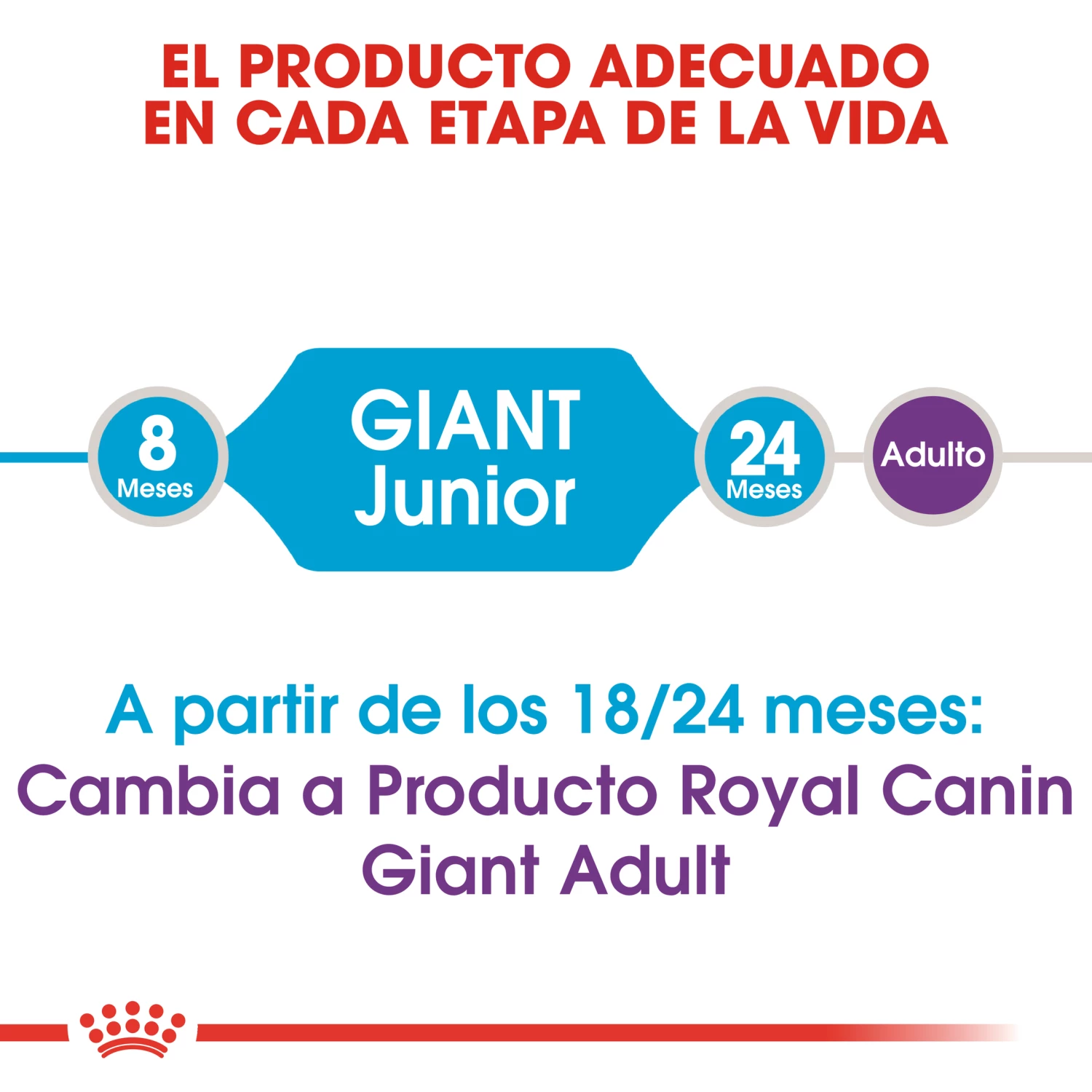 Royal Canin Tourteau Giant Junior 5 Royal Canin Tourteau Giant Junior – Image 3