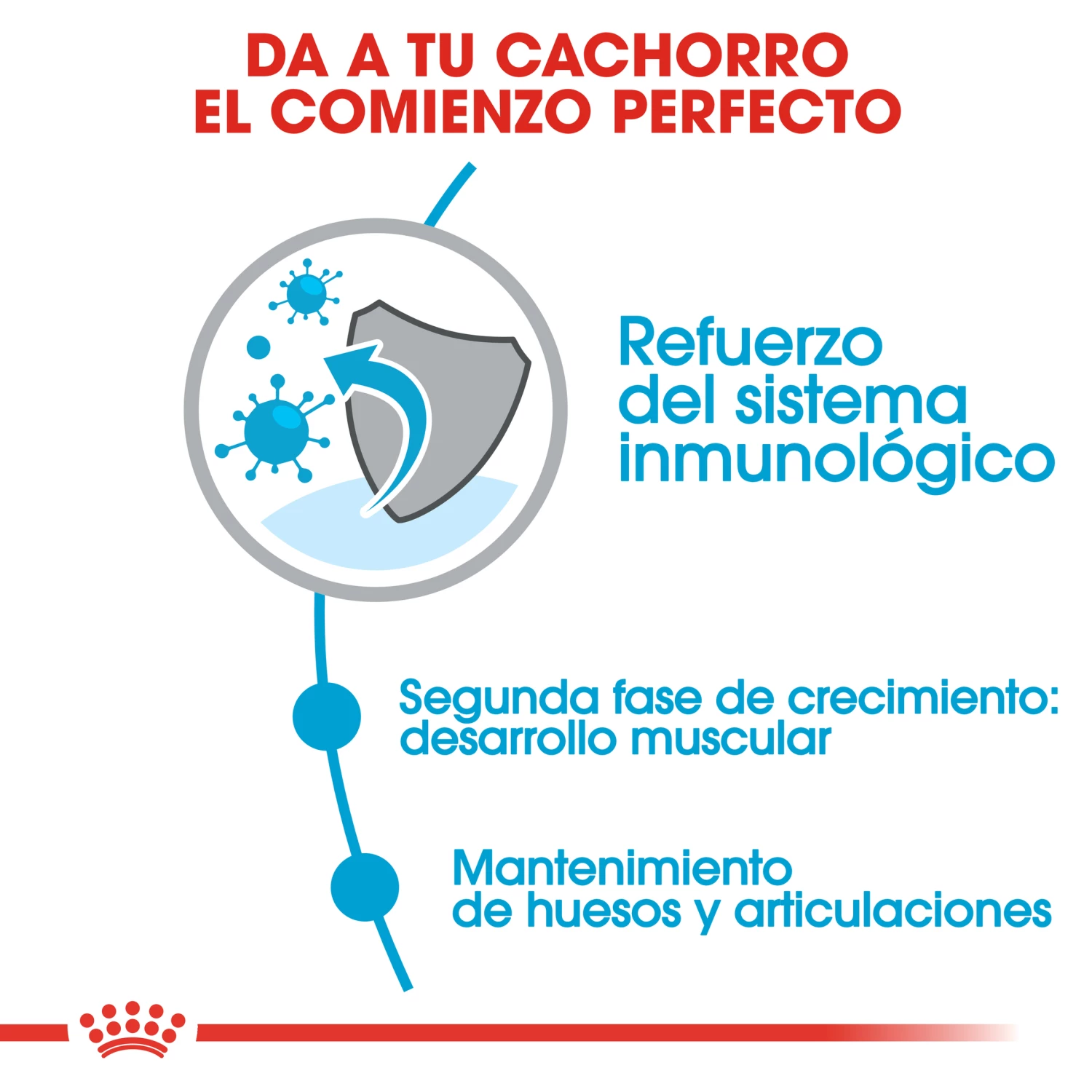 Royal Canin Tourteau Giant Junior 6 Royal Canin Tourteau Giant Junior – Image 4