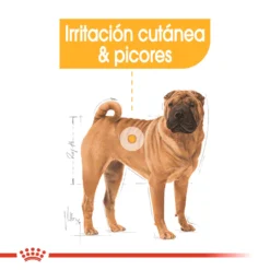 Royal Canin Medium Dermacomfort Pour Chiens Adultes à Peau Sensible 13 Royal Canin Medium Dermacomfort Pour Chiens Adultes à Peau Sensible -Trixie Soldes Magasin 265 3 2