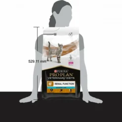 Pro Plan Veterinary Diets NF Renal Function ST/OX 33 Pro Plan Veterinary Diets NF Renal Function ST/OX -Trixie Soldes Magasin 270388317 62b0e2c61a477