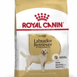 Royal Canin Labrador Retriever Adult -Trixie Soldes Magasin 28 2 1