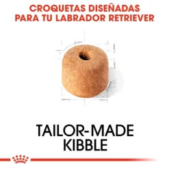 Royal Canin Labrador Retriever Adult -Trixie Soldes Magasin 28 4 3