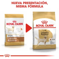 Royal Canin Labrador Retriever Adult -Trixie Soldes Magasin 28 6 5