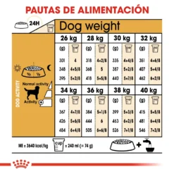 Royal Canin Labrador Retriever Adult -Trixie Soldes Magasin 28 7 6