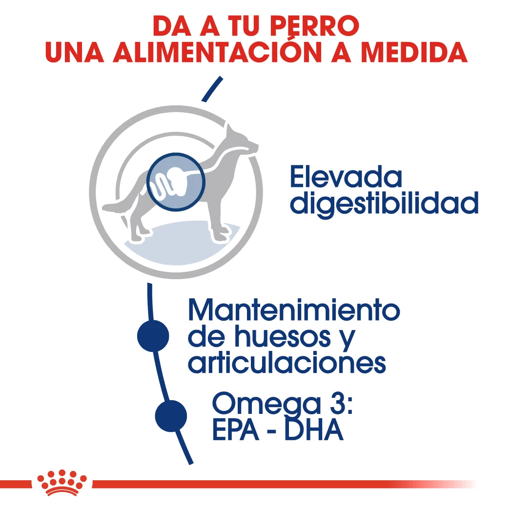 Royal Canin Maxi Adult Dog Food Pour Adultes Taille Grandes Races 6 Royal Canin Maxi Adult Dog Food Pour Adultes Taille Grandes Races – Image 4