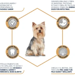 Advance Yorkshire Terrier Adult 10 Advance Yorkshire Terrier Adult -Trixie Soldes Magasin 294 3 3