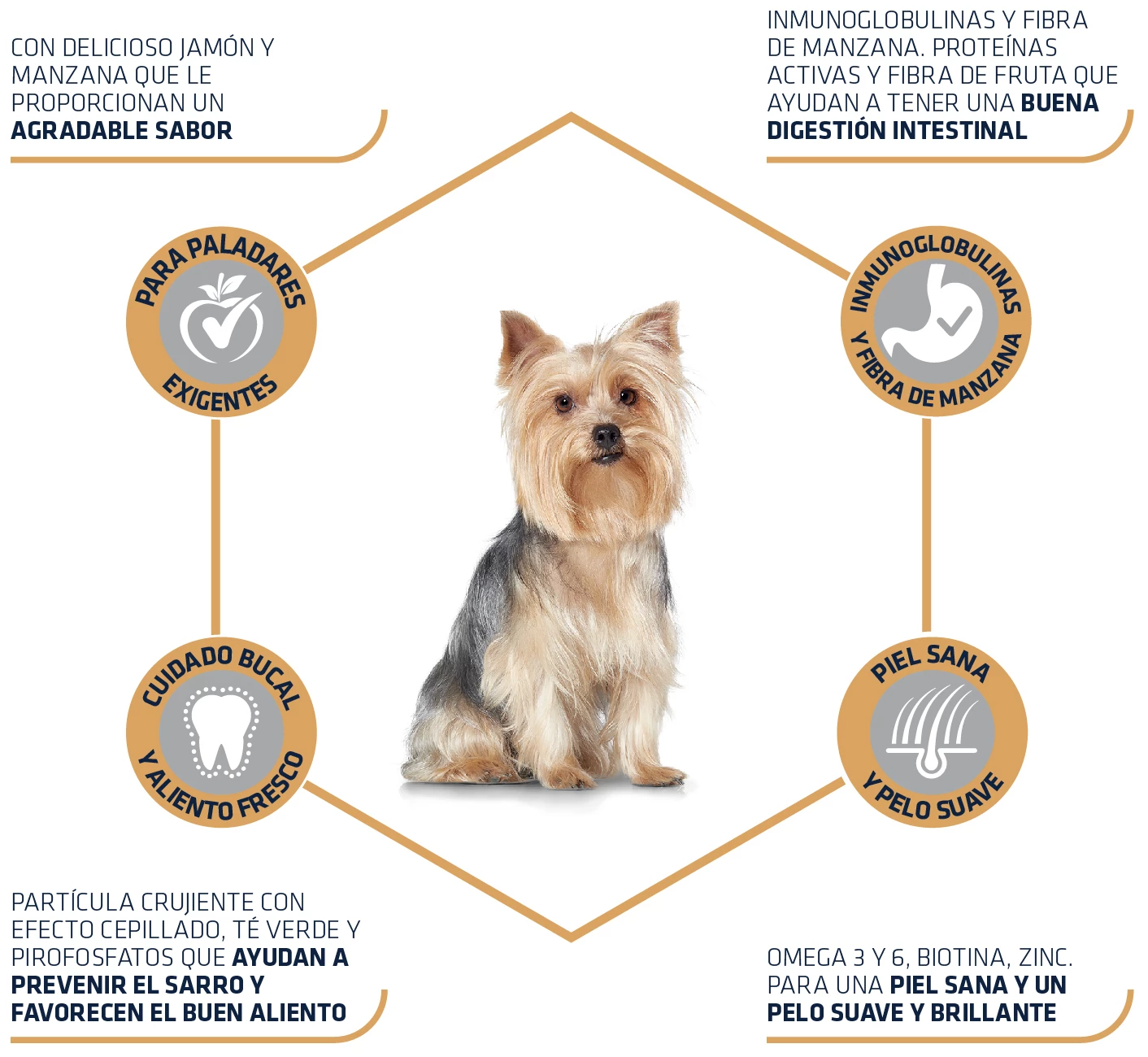 Advance Yorkshire Terrier Adult 5 Advance Yorkshire Terrier Adult – Image 3