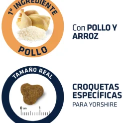 Advance Yorkshire Terrier Adult 11 Advance Yorkshire Terrier Adult -Trixie Soldes Magasin 294 4 4