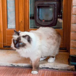 Ferplast Swing Microchip White -Trixie Soldes Magasin 3 0190005810 1800x1800 63ac2e945fd48