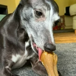 Whimzees Hypoallergenic Bone: Rice -Trixie Soldes Magasin 3 631872bd528df