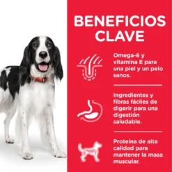 Hill's Science Plan Adult Aliment Pour Chien Adulte Medium Au Thon & Riz 12 Hill's Science Plan Adult Aliment Pour Chien Adulte Medium Au Thon & Riz -Trixie Soldes Magasin 318 52742926902 4 3