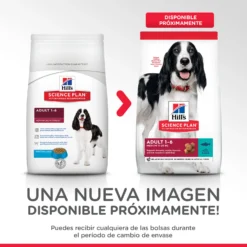 Hill's Science Plan Adult Aliment Pour Chien Adulte Medium Au Thon & Riz 10 Hill's Science Plan Adult Aliment Pour Chien Adulte Medium Au Thon & Riz -Trixie Soldes Magasin 318 52742926902 5 1