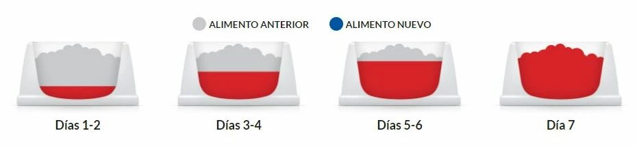 Hill's Science Plan Adult Aliment Pour Chien Adulte Medium Au Thon & Riz 9 Hill's Science Plan Adult Aliment Pour Chien Adulte Medium Au Thon & Riz – Image 7