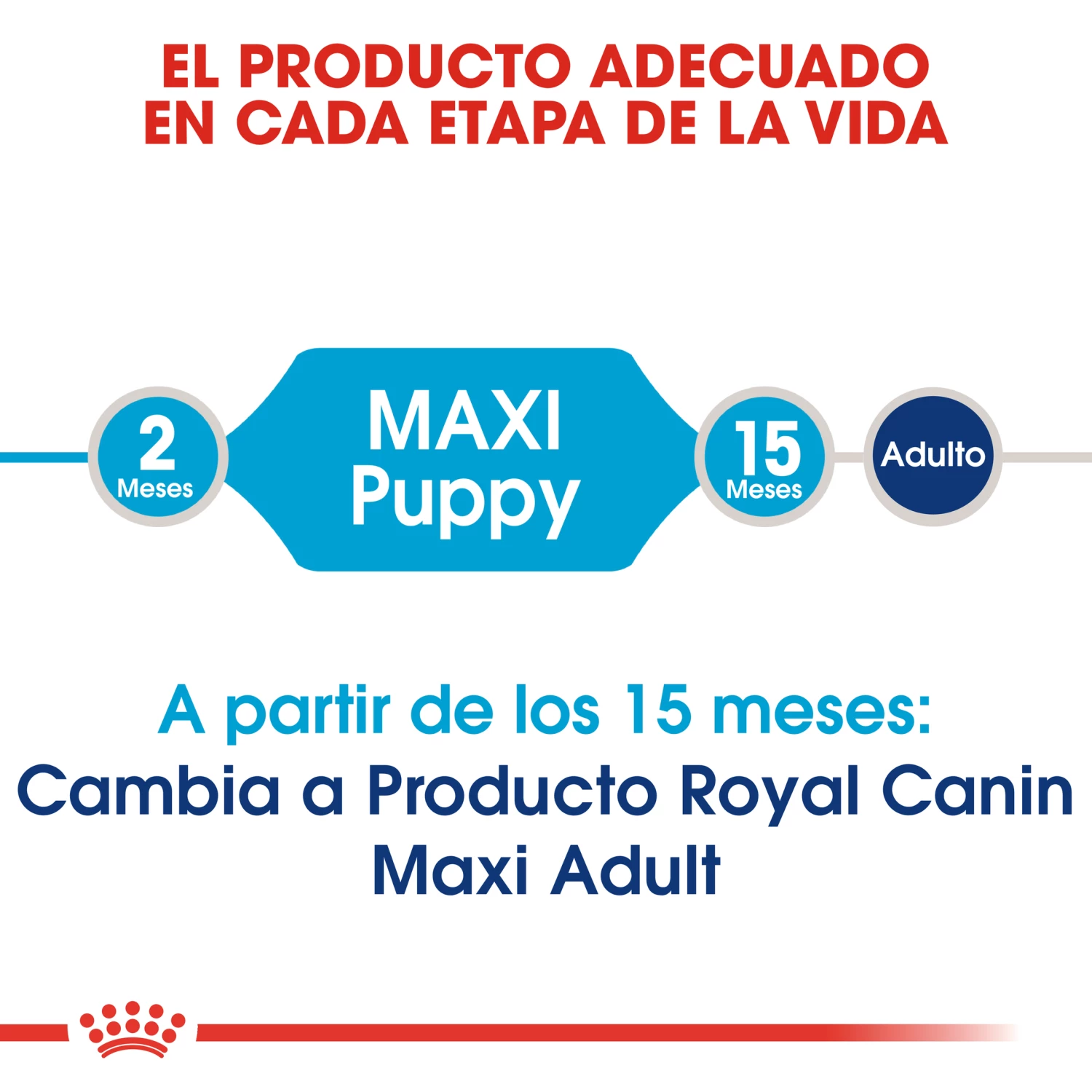 Royal Canin Maxi Puppy Aliment Pour Chiots De Race Grande 5 Royal Canin Maxi Puppy Aliment Pour Chiots De Race Grande – Image 3