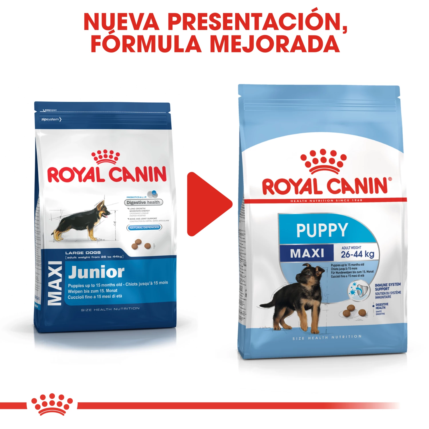 Royal Canin Maxi Puppy Aliment Pour Chiots De Race Grande 8 Royal Canin Maxi Puppy Aliment Pour Chiots De Race Grande – Image 6