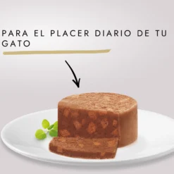 Lot 12 Gourmet Saumon D'Or Terrine 8 Lot 12 Gourmet Saumon D'Or Terrine -Trixie Soldes Magasin 3374 2 3