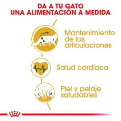 Royal Canin Nourriture Maine Coon 31 -Trixie Soldes Magasin 3459 1