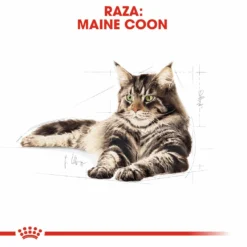 Royal Canin Nourriture Maine Coon 31 -Trixie Soldes Magasin 3459 5
