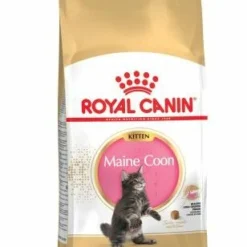 Royal Canin Maine Coon Kitten 36 Aliment Pour Chatons Maine Coon 12 Royal Canin Maine Coon Kitten 36 Aliment Pour Chatons Maine Coon -Trixie Soldes Magasin 3466 la pla royalcanin coon kitt 0 8