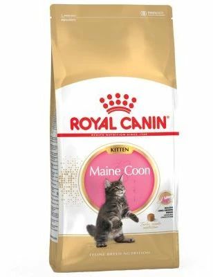 Royal Canin Maine Coon Kitten 36 Aliment Pour Chatons Maine Coon 4 Royal Canin Maine Coon Kitten 36 Aliment Pour Chatons Maine Coon – Image 2