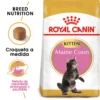 Royal Canin Maine Coon Kitten 36 Aliment Pour Chatons Maine Coon -Trixie Soldes Magasin 3466 0