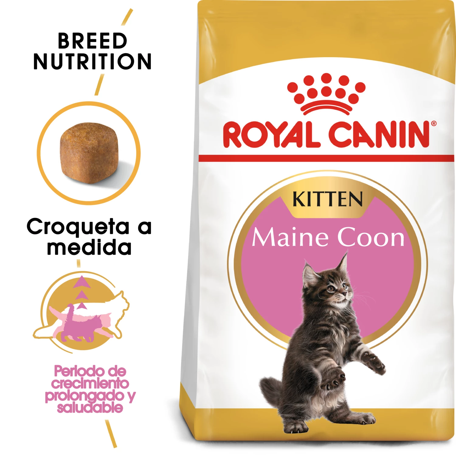 Royal Canin Maine Coon Kitten 36 Aliment Pour Chatons Maine Coon 3 Royal Canin Maine Coon Kitten 36 Aliment Pour Chatons Maine Coon