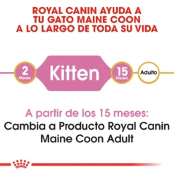 Royal Canin Maine Coon Kitten 36 Aliment Pour Chatons Maine Coon 13 Royal Canin Maine Coon Kitten 36 Aliment Pour Chatons Maine Coon -Trixie Soldes Magasin 3466 1