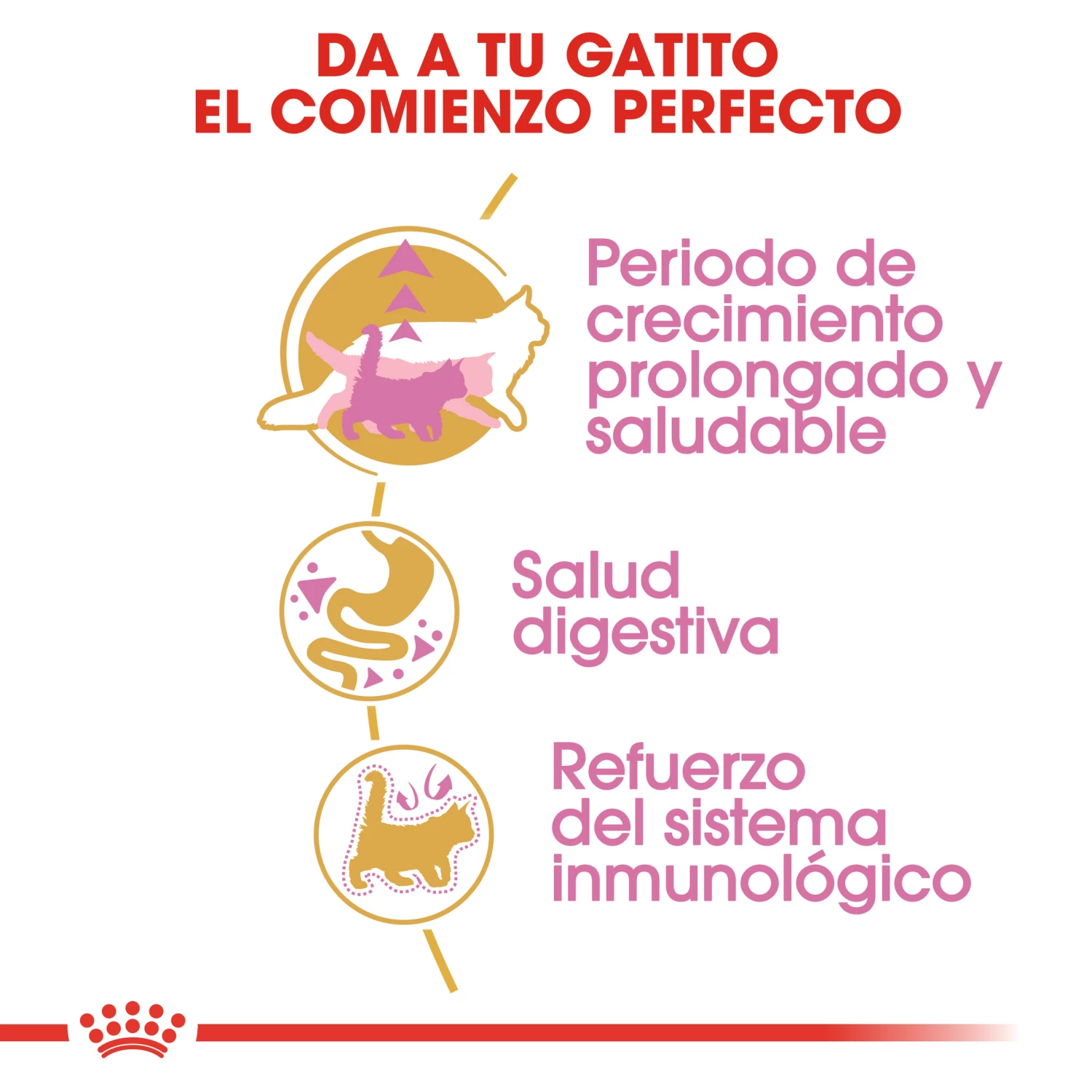 Royal Canin Maine Coon Kitten 36 Aliment Pour Chatons Maine Coon 6 Royal Canin Maine Coon Kitten 36 Aliment Pour Chatons Maine Coon – Image 4