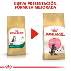Royal Canin Maine Coon Kitten 36 Aliment Pour Chatons Maine Coon 18 Royal Canin Maine Coon Kitten 36 Aliment Pour Chatons Maine Coon -Trixie Soldes Magasin 3466 6