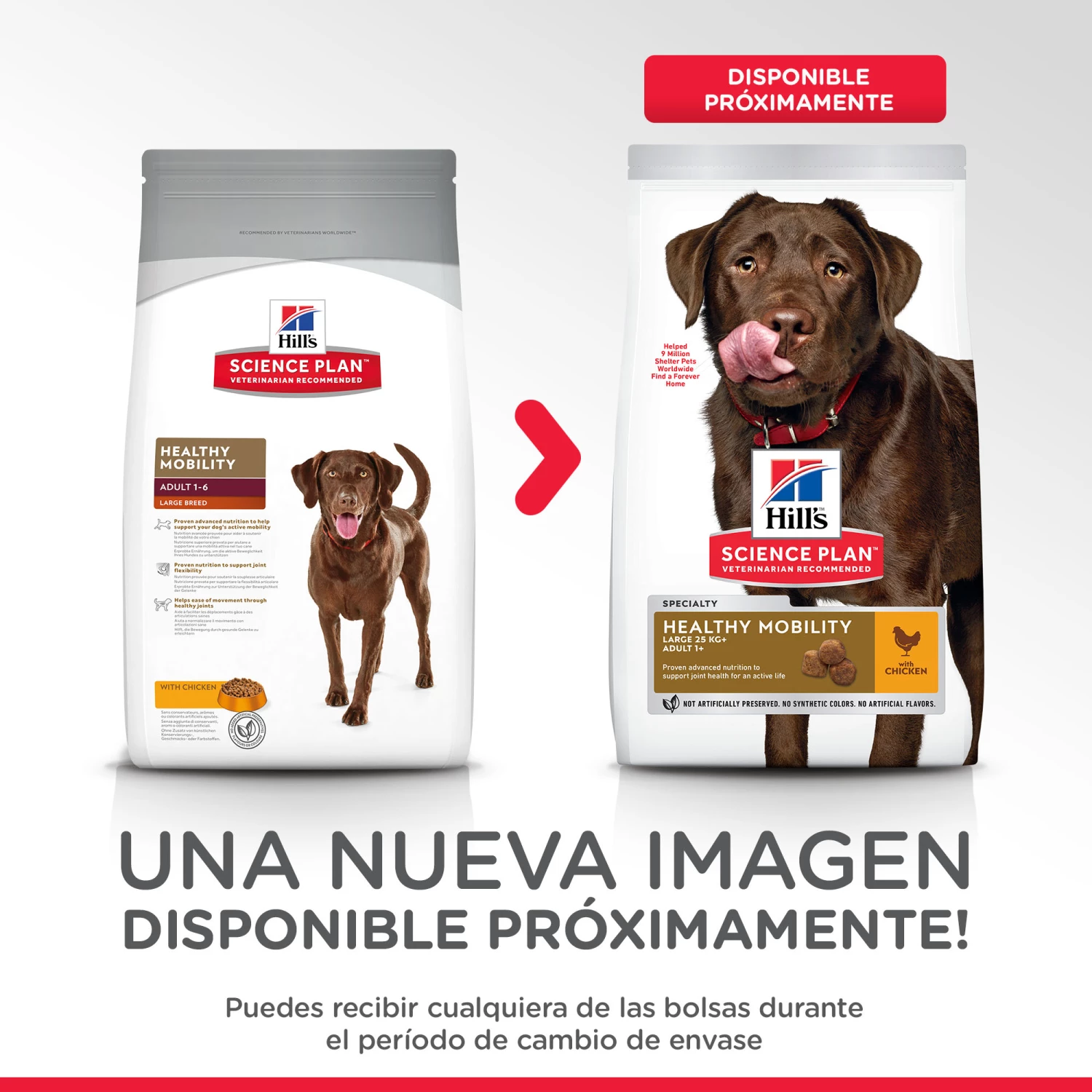 Hill's Science Plan Healthy Mobility Large Adult Au Poulet 4 Hill's Science Plan Healthy Mobility Large Adult Au Poulet – Image 2