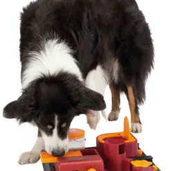 Trixie Activité Chiens Poker Box 2 Niveau 2 9 Trixie Activité Chiens Poker Box 2 Niveau 2 -Trixie Soldes Magasin 39302 pho pro dog clip 32013 1 3