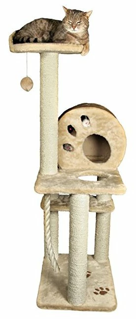 Trixie Post Scraper Salamanca 4 Trixie Post Scraper Salamanca – Image 2