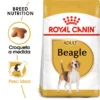 Royal Canin Beagle Adult -Trixie Soldes Magasin 39613 1 0