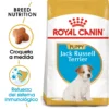 Royal Canin Jack Russell Junior -Trixie Soldes Magasin 39614 1 0