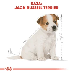 Royal Canin Jack Russell Junior -Trixie Soldes Magasin 39614 6 5