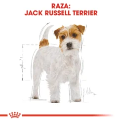 Royal Canin Jack Russell Adult 12 Royal Canin Jack Russell Adult -Trixie Soldes Magasin 39615 3 2