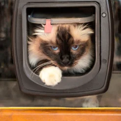 Ferplast Swing Microchip White -Trixie Soldes Magasin 4 0190005808 1800x1800 63ac2e972df87