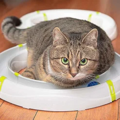 Ferplast Piste De Typhon 17 Ferplast Piste De Typhon -Trixie Soldes Magasin 4 0190014515 1800x1800 63ac4a018e455