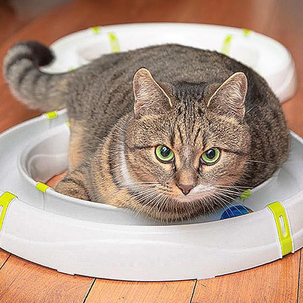 Ferplast Piste De Typhon 10 Ferplast Piste De Typhon – Image 8