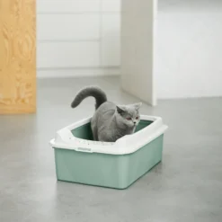 Rotho Bonnie Eco Cat Litter Tray Green -Trixie Soldes Magasin 4004705092 7610859232847 pi rgb 102472 1 646b5f1a957a4