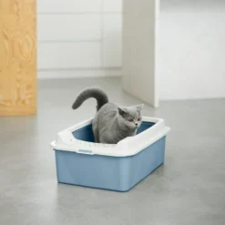 Rotho Bonnie Eco Cat Litter Tray Blue -Trixie Soldes Magasin 4004706161 7610859232854 pi rgb 102474 646b5bb054ebf
